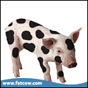 fatcow
