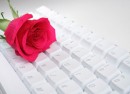 on-line dating Affiliation sexy