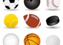 sport Affiliation sport