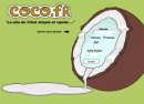 cocoland coco land