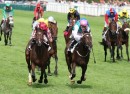 turf en ligne