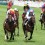 turf en ligne