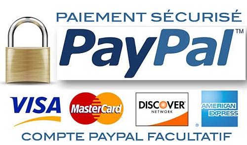 Paypal Paiement Sécurisé