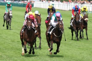 turf en ligne