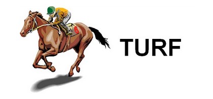 turf