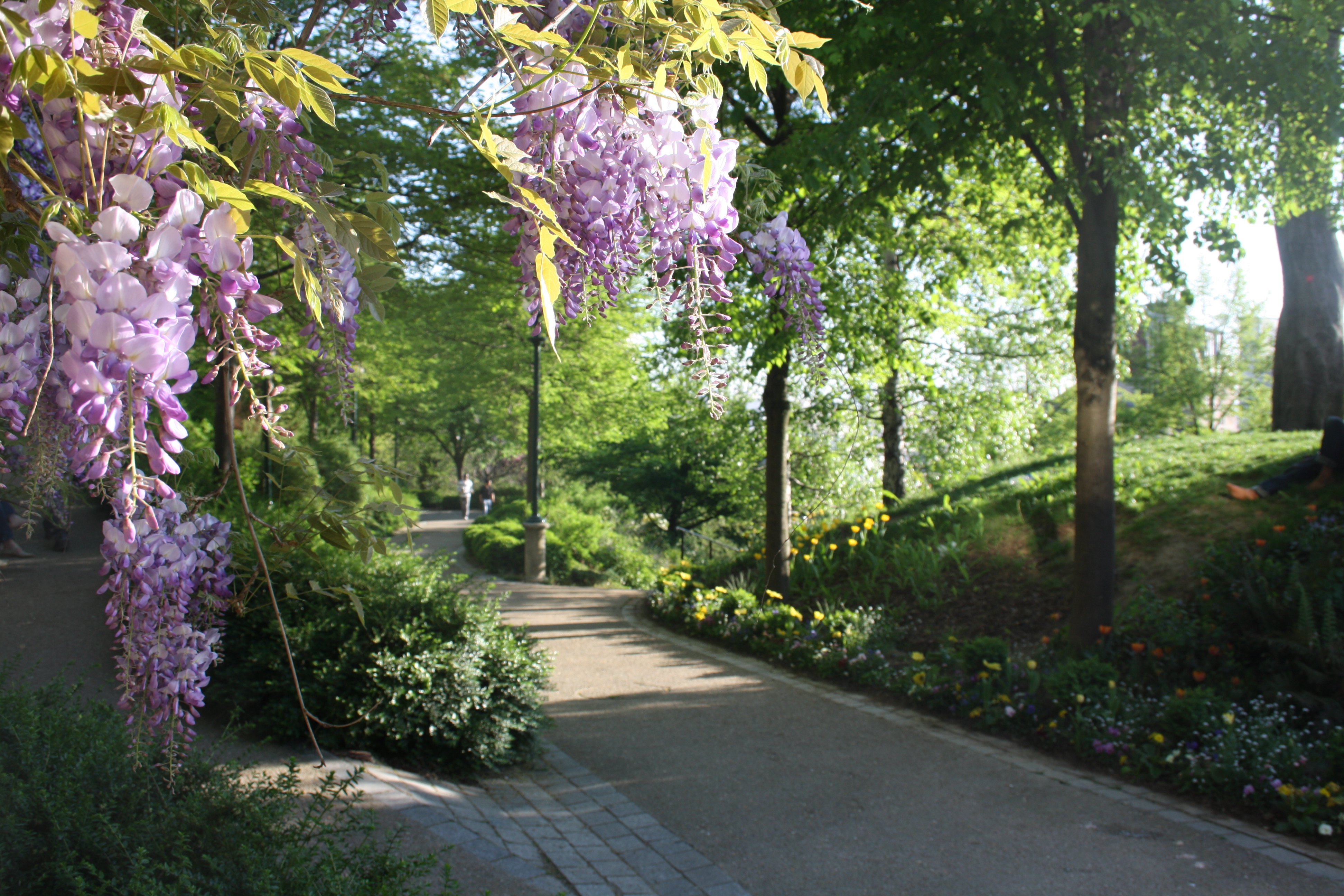 Parc dans le 20ème arrondissement de Paris
