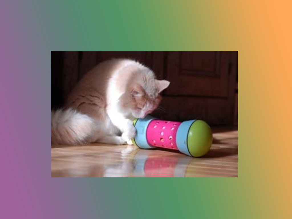 Jouet pour chat Pipolino