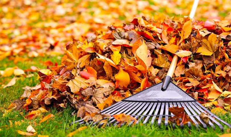 jardinage automne