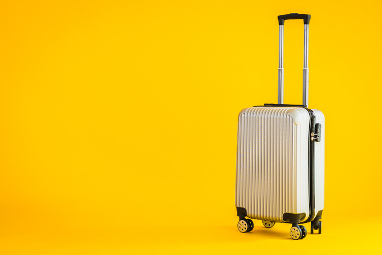 valise