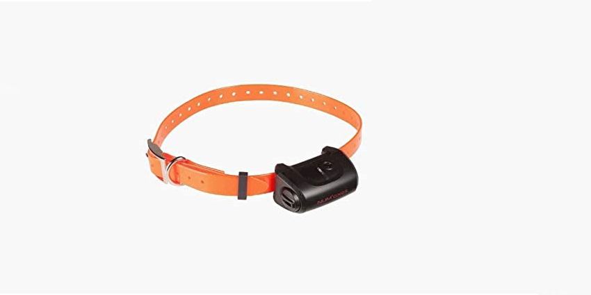 collier GPS Num'Axes